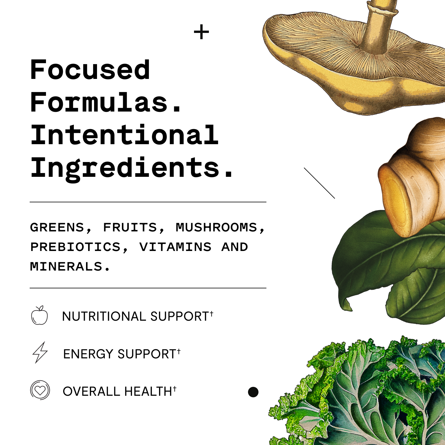Super Greens Gummies